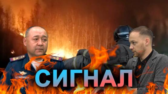 Сигнал. Пожар в степи уничтожил 10 тысяч гектаров! 11.10.2024